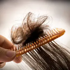 Eine Hand hält einen Kamm, der versucht, verfilzte Haare zu entwirren.