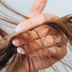Eine Hand hält braunes Haar, das sich in den Fingern verheddert. Die Frage, wie oft spitzen schneiden, beschäftigt viele.