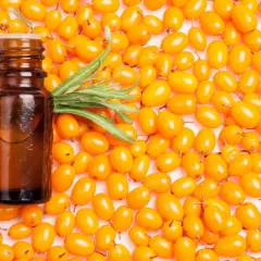 Braunes Fläschchen mit Sanddornöl, umgeben von leuchtend orangen Sanddornbeeren. Die Sanddorn Wirkung für Haare ist bekannt.