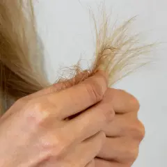 Eine Hand hält eine Strähne blonden Haares, die Anzeichen von extremem Haarbruch zeigt.