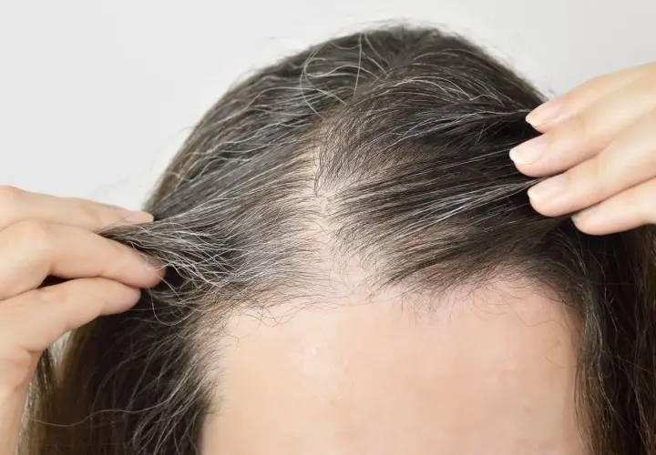 Nahaufnahme von Haaren mit grauen Strähnen. Die Frage "ab wann bekommt man graue Haare" beschäftigt viele.