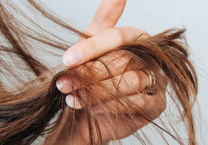 Eine Hand hält braunes Haar, das sich in den Fingern verheddert. Die Frage, wie oft spitzen schneiden, beschäftigt viele.