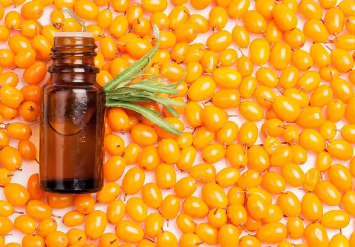 Braunes Fläschchen mit Sanddornöl, umgeben von leuchtend orangen Sanddornbeeren. Die Sanddorn Wirkung für Haare ist bekannt.