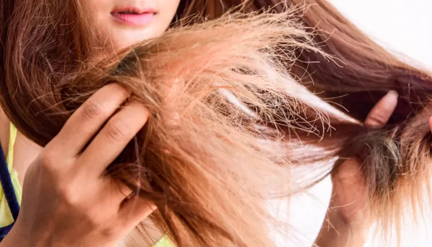 Frauenhände halten eine Strähne mit kaputten Haaren, die spröde und strohig aussieht.