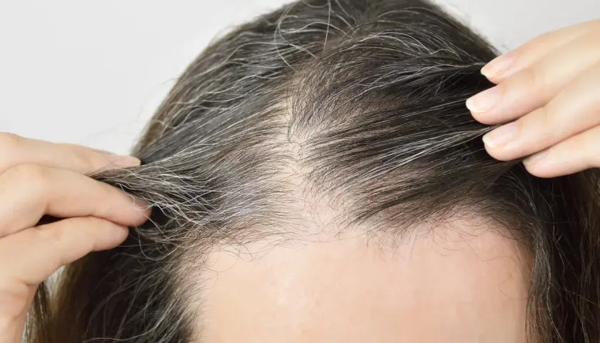 Nahaufnahme von Haaren mit grauen Strähnen. Die Frage "ab wann bekommt man graue Haare" beschäftigt viele.