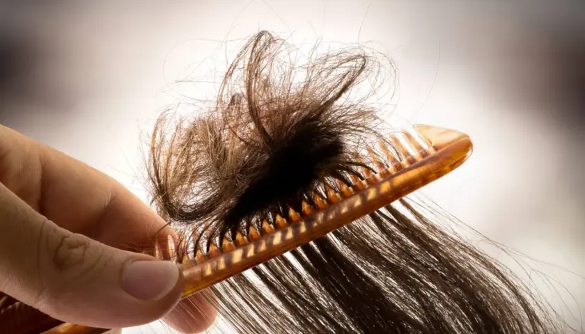 Eine Hand hält einen Kamm, der versucht, verfilzte Haare zu entwirren.