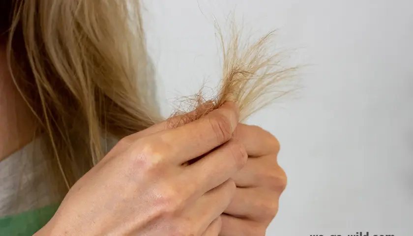 Hände zupfen an blonden, gespaltenen Haarspitzen. Für **starkes Haar** braucht es Pflege.