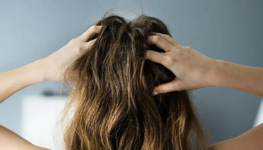 Hände kratzen am Kopf, Haare brechen am Ansatz ab. Was tun bei Haarbruch?