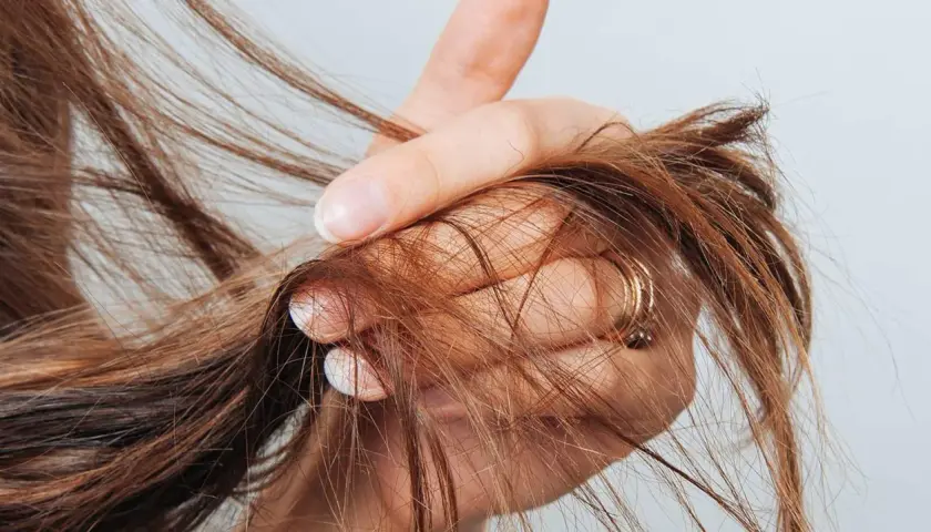 Eine Hand hält braunes Haar, das sich in den Fingern verheddert. Die Frage, wie oft spitzen schneiden, beschäftigt viele.