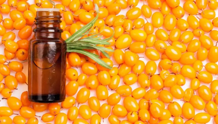 Braunes Fläschchen mit Sanddornöl, umgeben von leuchtend orangen Sanddornbeeren. Die Sanddorn Wirkung für Haare ist bekannt.