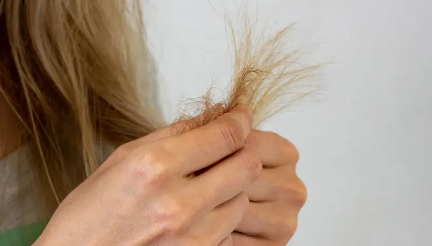 Eine Hand hält eine Strähne blonden Haares, die Anzeichen von extremem Haarbruch zeigt.