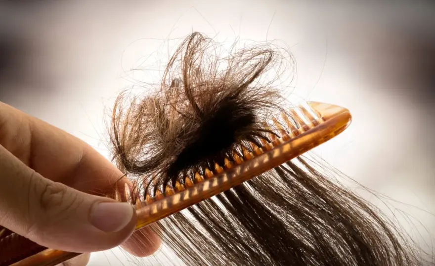 Nie wieder verfilzte Haare - So entwirrst du sie richtig