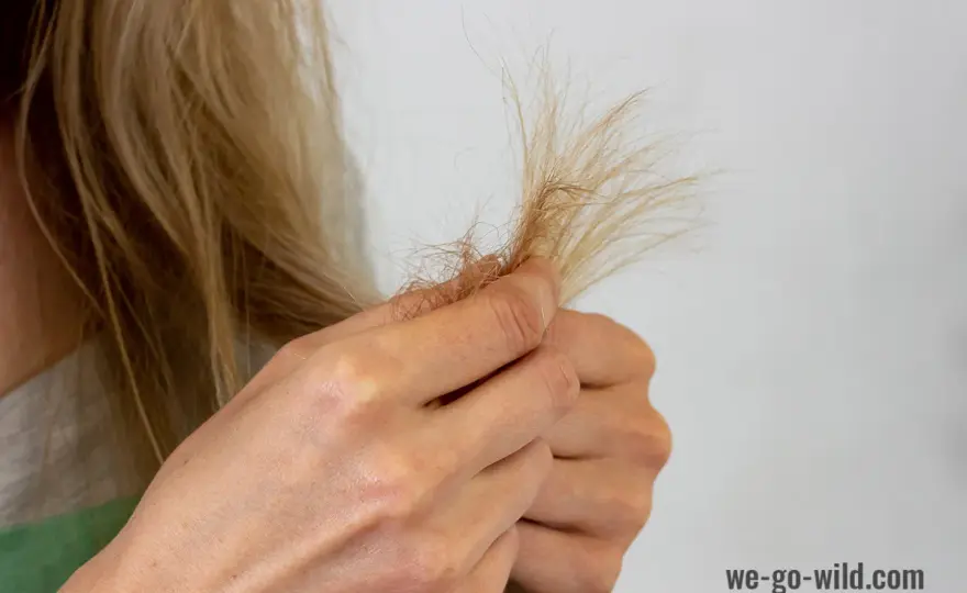 Haarbruch vermeiden - So bekommst du wirklich kräftiges Haar