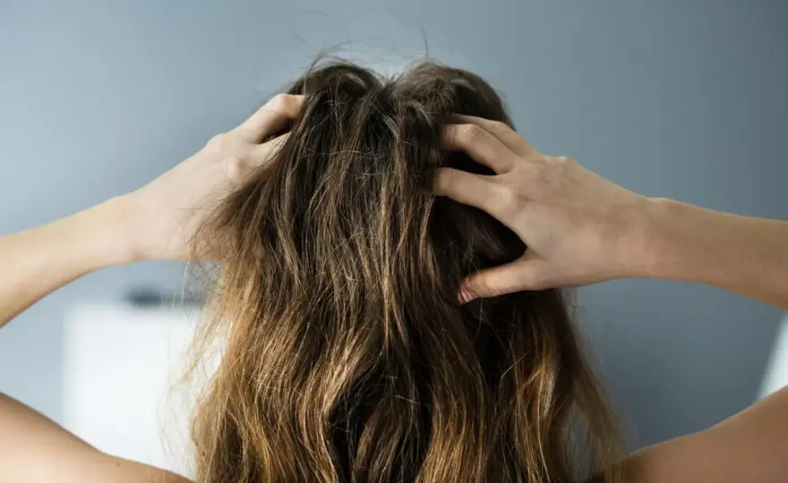Haarbruch am Ansatz stoppen - Ursachen & effektive Tipps