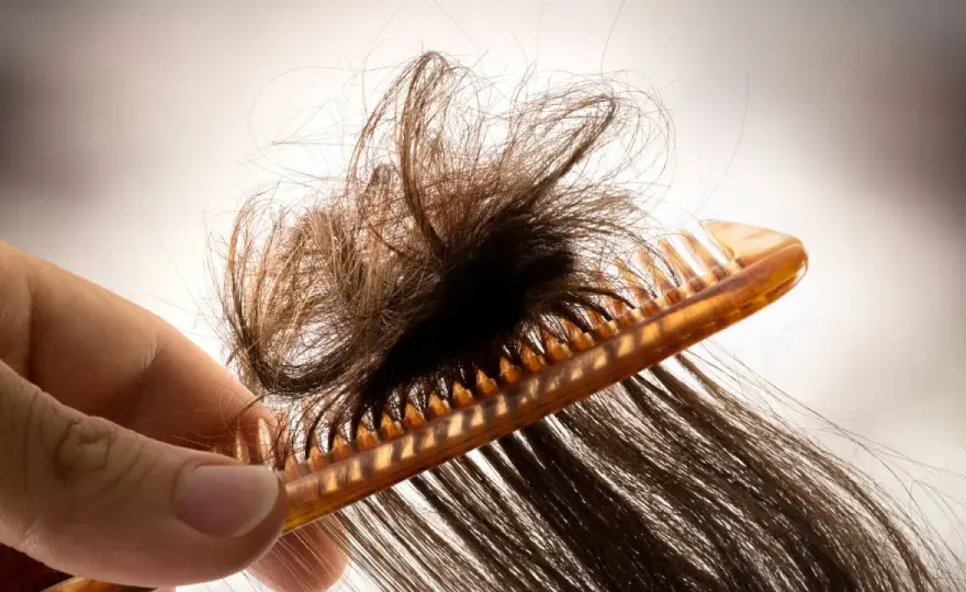 Verfilzte Haare? So löst du Knoten sanft & vermeidest sie.