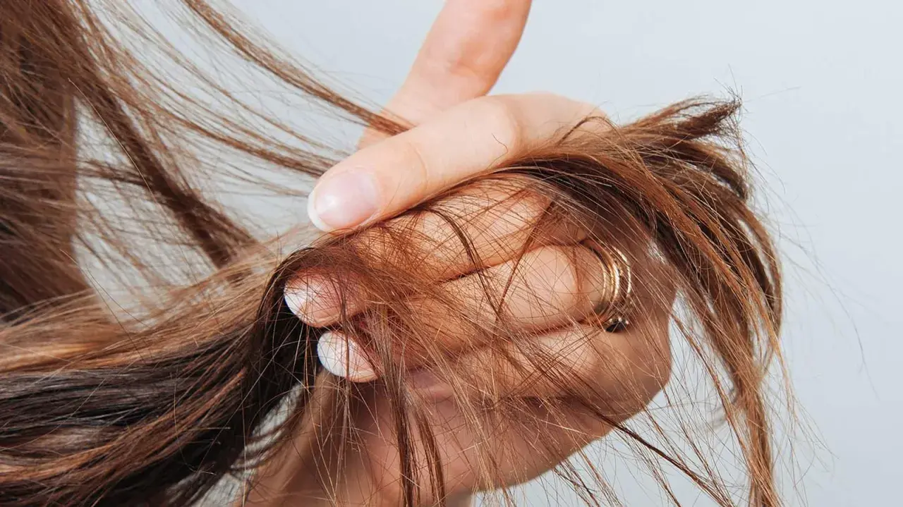 Eine Hand hält braunes Haar, das sich in den Fingern verheddert. Die Frage, wie oft spitzen schneiden, beschäftigt viele.