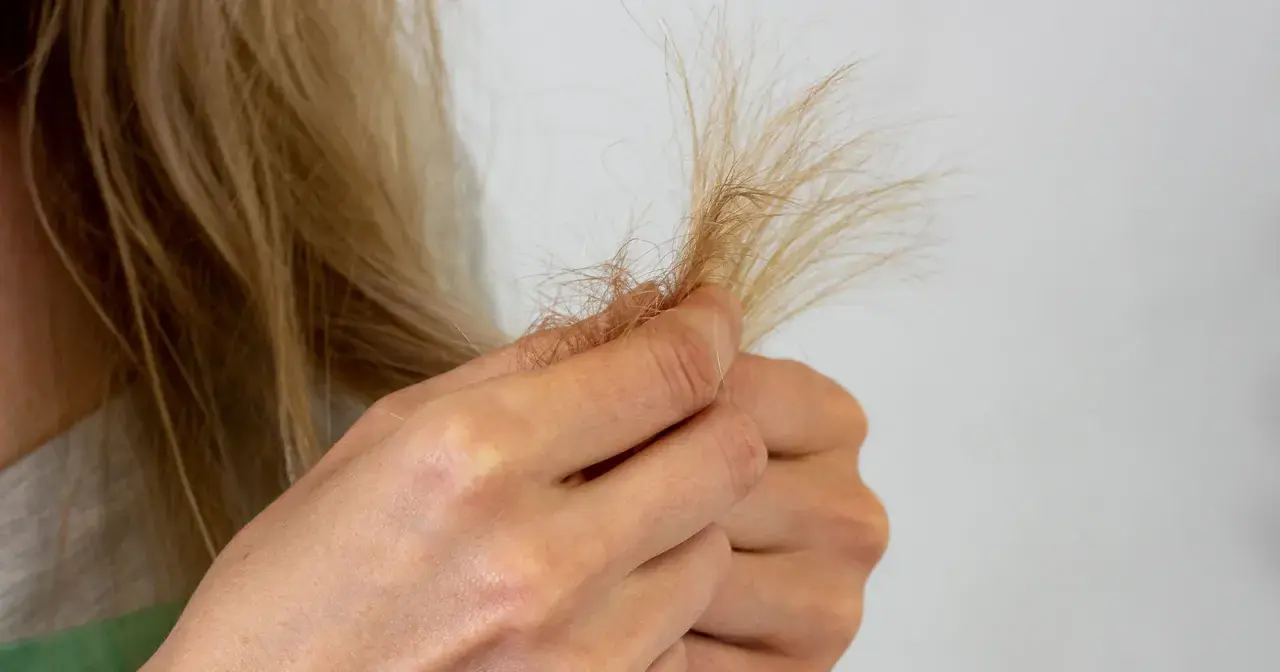 Eine Hand hält eine Strähne blonden Haares, die Anzeichen von extremem Haarbruch zeigt.