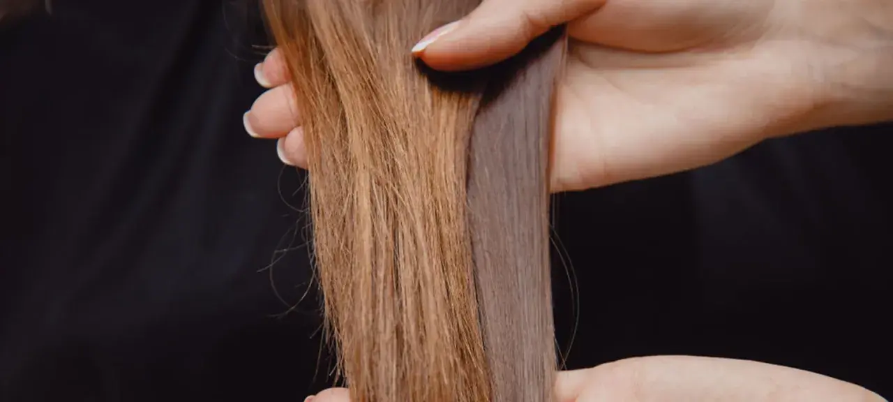Hände halten zwei Strähnen lange Haare, eine braun, die andere grau-violett.