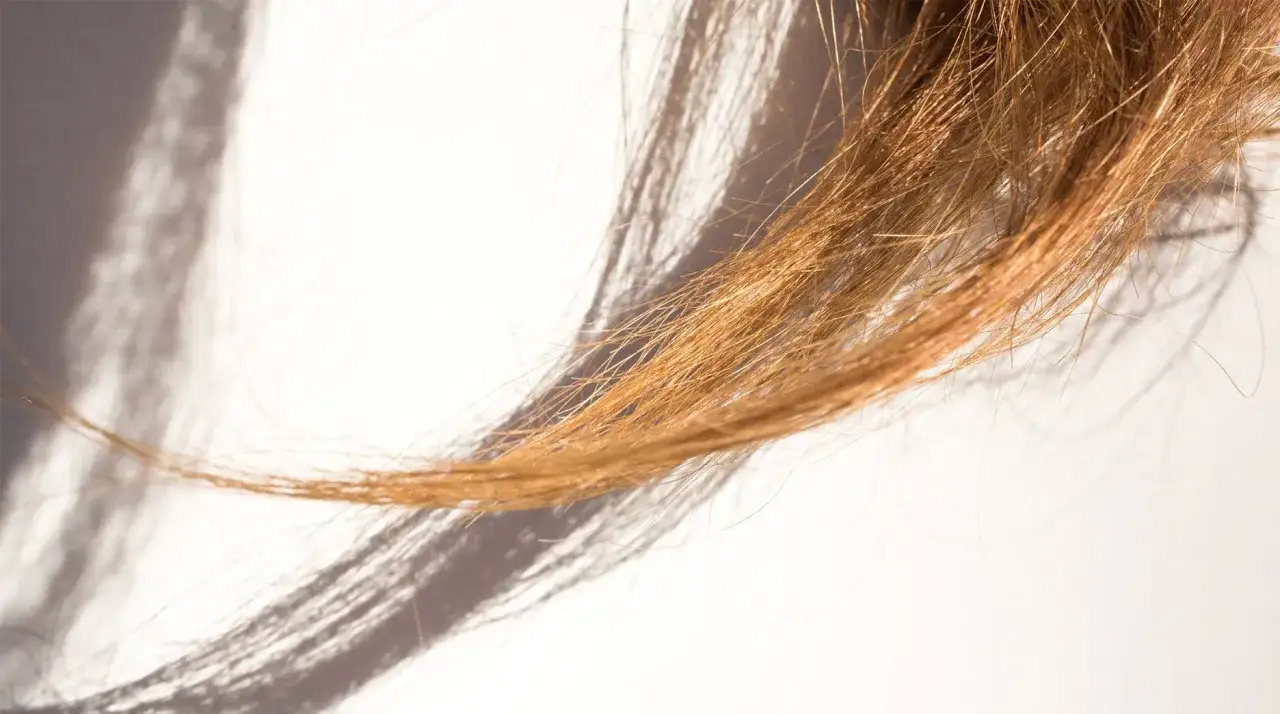 Feines, hellbraunes Haar mit Spliss, das zeigt, wie oft spitzen schneiden wichtig ist für gesunde Haare.