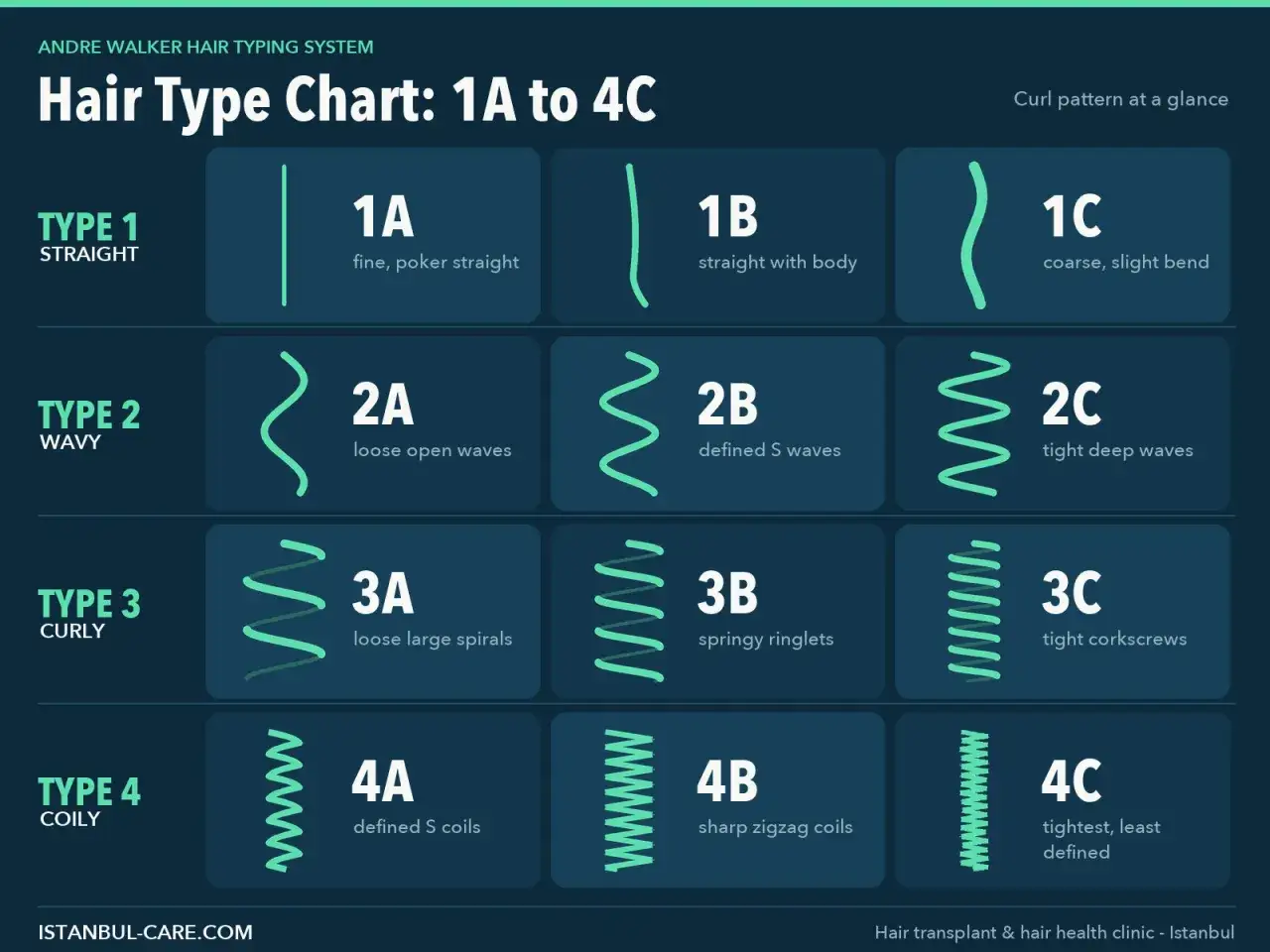 Haarstruktur Tabelle: Typen 1A-4C, von glatt bis lockig, mit visuellen Beispielen für jede Haarstruktur.
