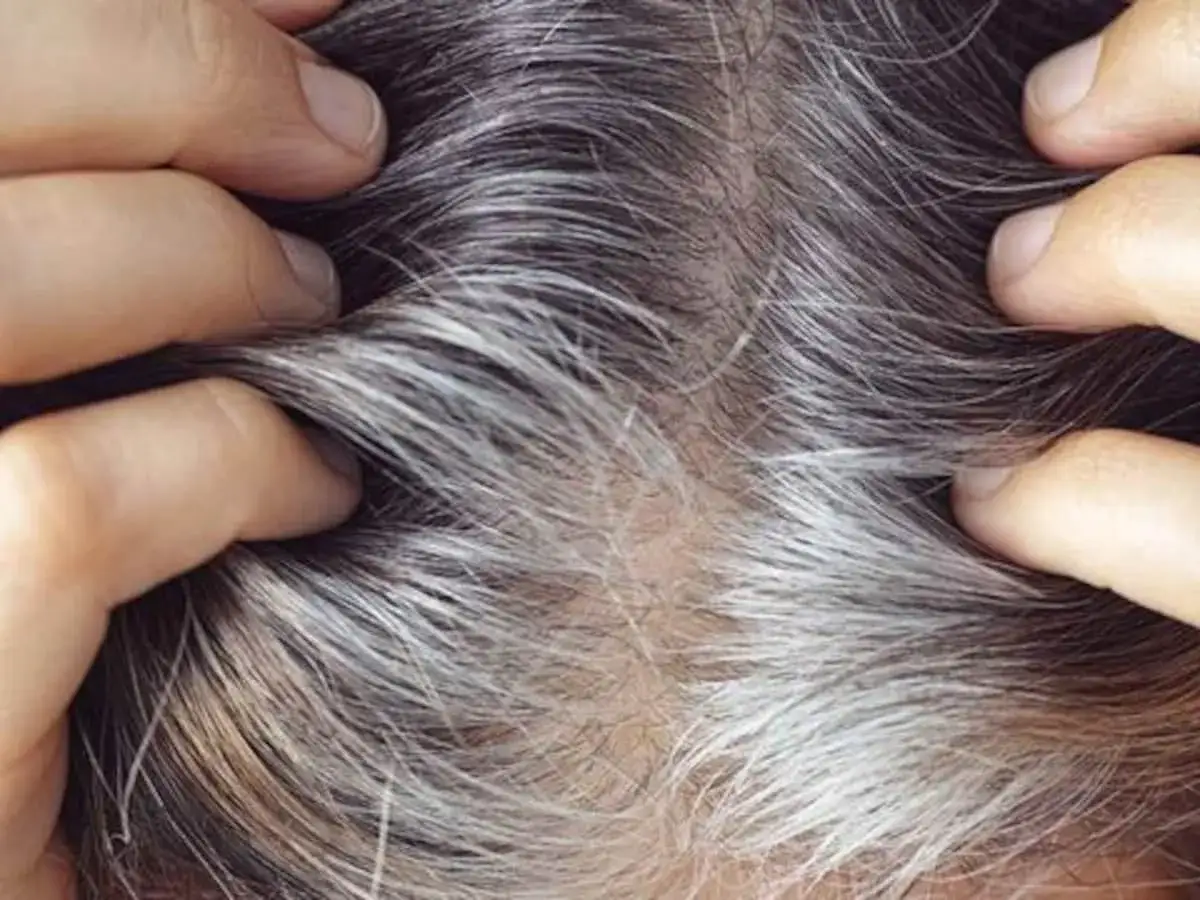 Hände durch dunkles Haar mit einzelnen grauen Haaren, die sich abzeichnen.