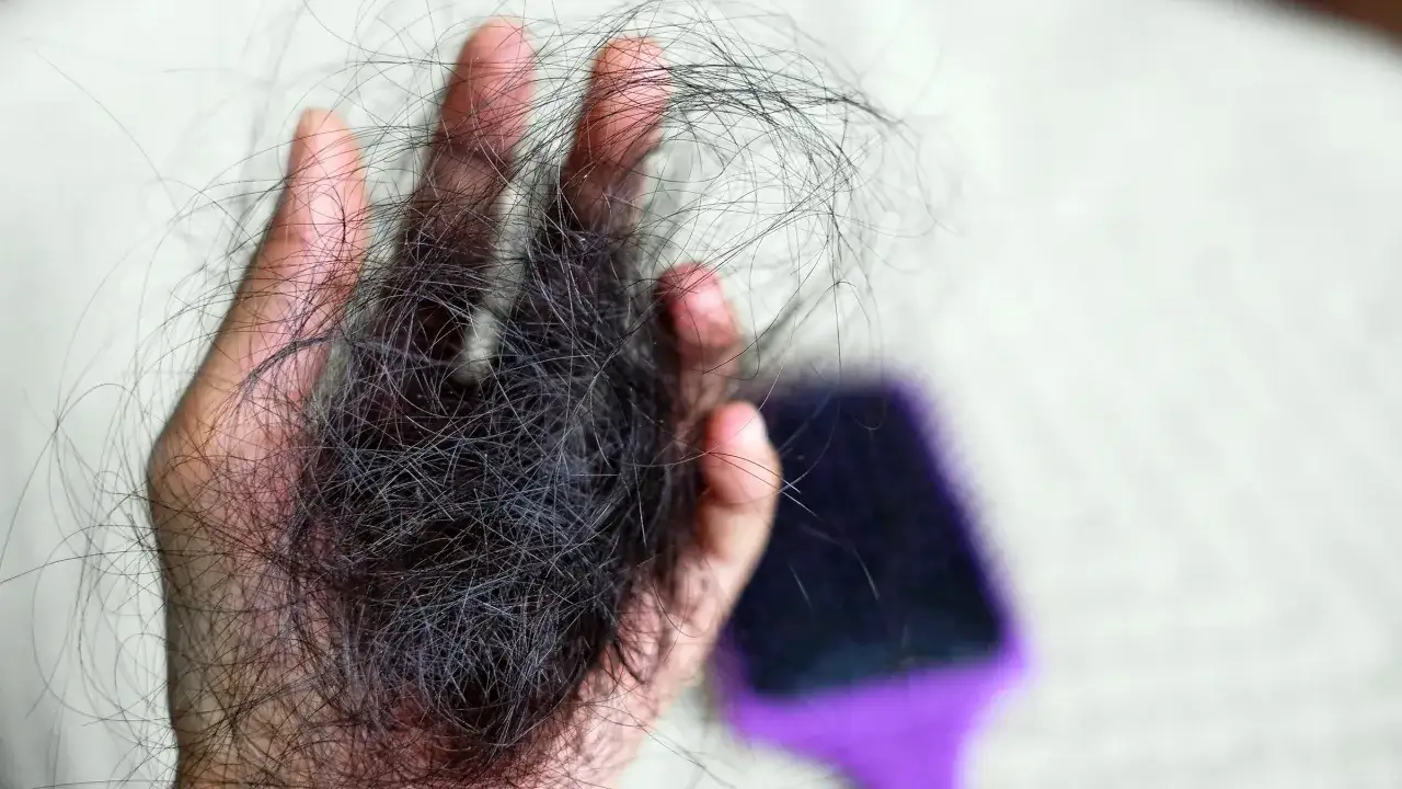 Hand hält eine große Menge dunkler Haare, ein Zeichen für extremen Haarausfall nach Schwangerschaft. Eine lila Bürste ist unscharf im Hintergrund zu sehen.