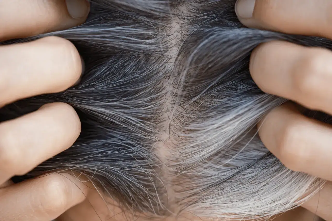 Hände greifen in dunkles Haar mit grauen Strähnen. Bei dunkler Haarfarbe fallen graue Haare am wenigsten auf.