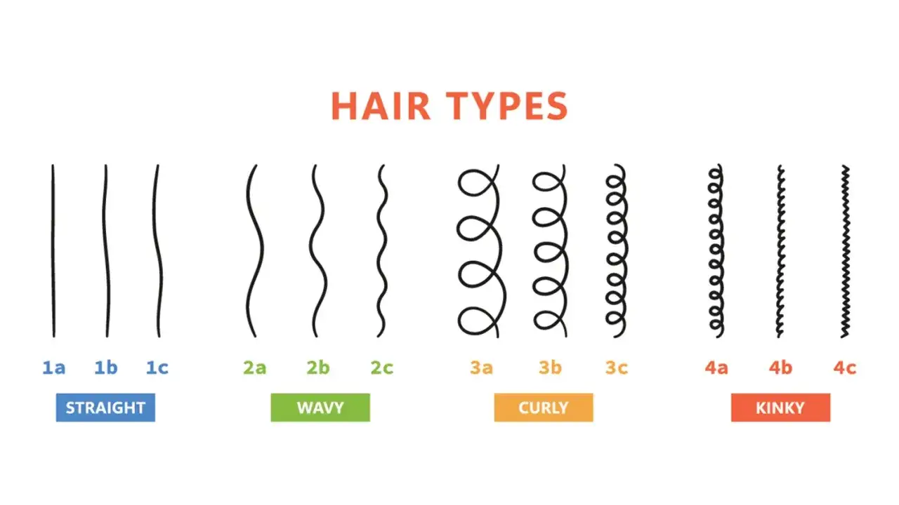 Welche locken habe ich? Die Grafik zeigt Haartypen von glatt (1a-1c) &uuml;ber wellig (2a-2c) und lockig (3a-3c) bis hin zu kraus (4a-4c).